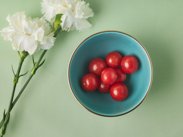 Katori Bowl - Cerulean